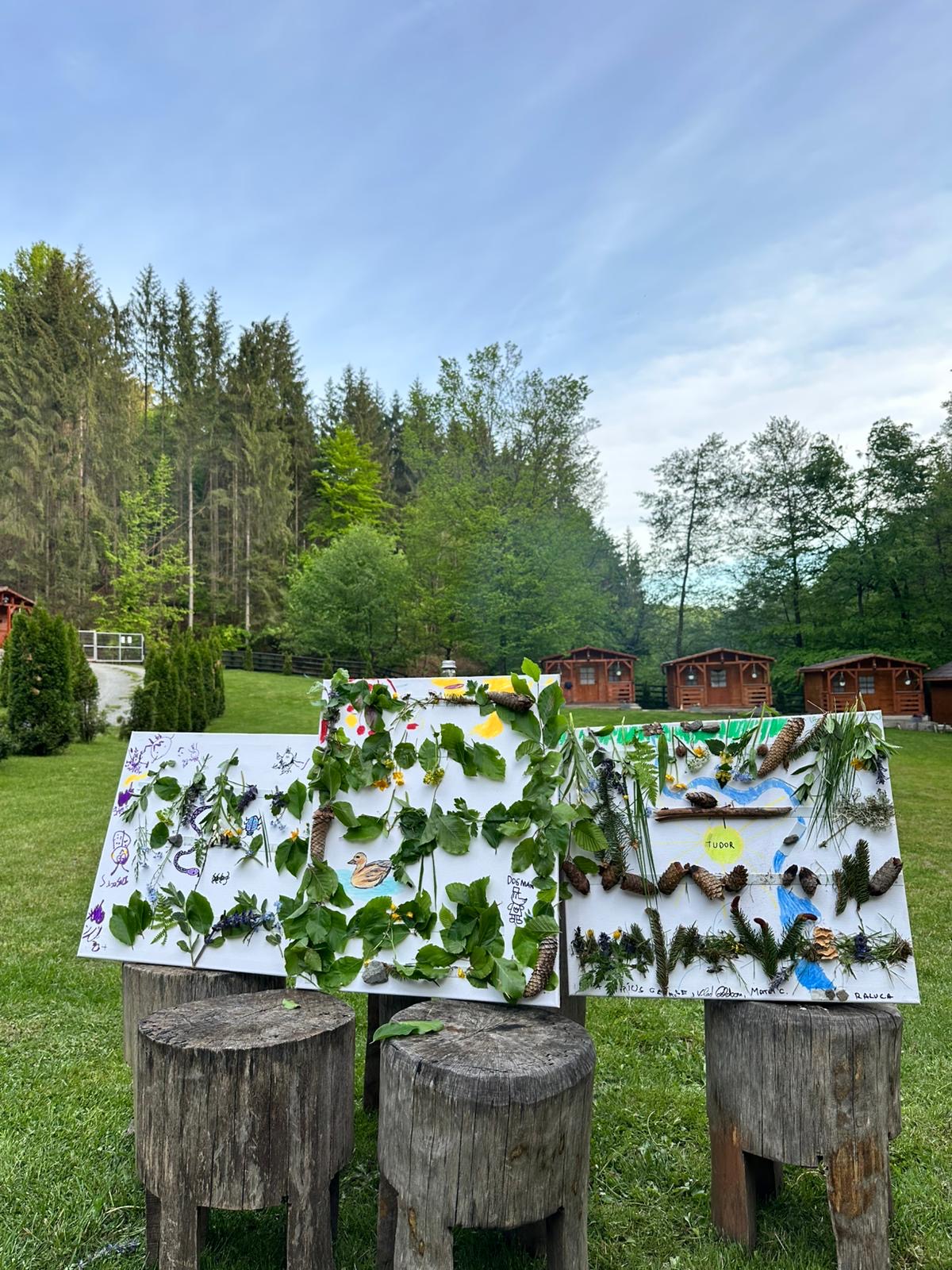 Tabără terapeutică 15-17 mai 2026